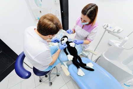 Male dentist and assistant girl examine teeth toy cat. Student medic dentist take an examination on a patient toyの写真素材