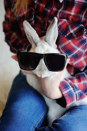 White fluffy decorative rabbit in sunglasses against the background of a plaid shirtの写真素材