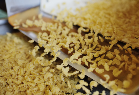 plant and food production of pasta. pasta close-up background, textureの写真素材