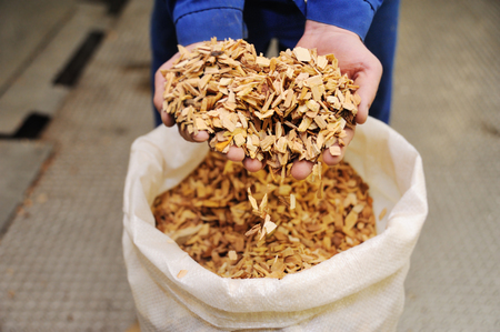 chips to the smokehouse sausage close up in the palms of menの写真素材