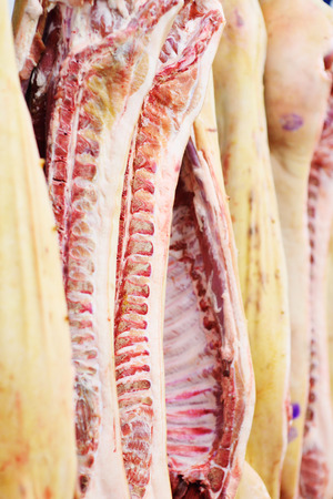 Cutting and processing of meat. Pork carcasses against the background of a meat-packing plant.Slaughterhouse .の写真素材