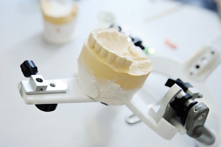 the dentist makes a denture their plaster or ceramics