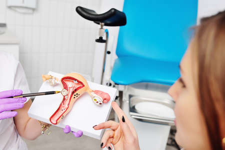 a young attractive girl at a women's consultation with a gynecologist. The gynecologist shows the patient a model of the uterus and talks about women's health against the background of a gynecological chair.の写真素材