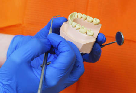 artificial jaw and dental instruments close-up in the hands of a dentist on an orange background.