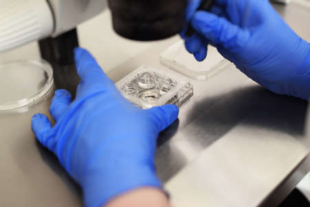 process of artificial insemination of an egg in an IVF clinic.の写真素材