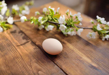 chicken egg close-up on a wooden table against the background of a flowering branch of an apple tree.の写真素材
