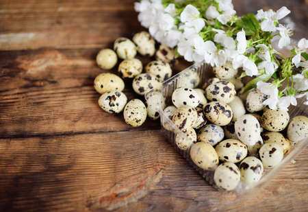 quail eggs close-up on a wooden table against the background of a flowering branch.