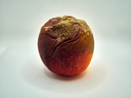 Moldy rotten peach on a white background. Selective focusの写真素材