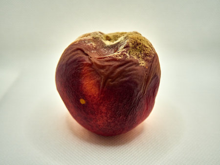 Rotten peach fruit on a white background. Close-up.の写真素材