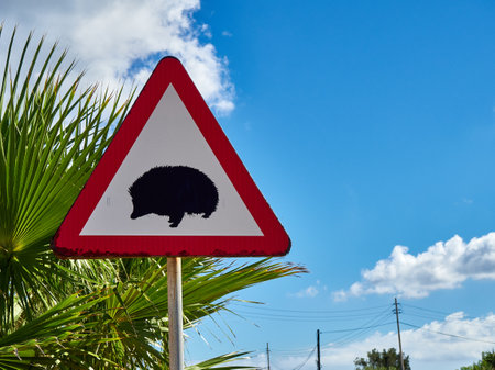 Road sign warning of hedgehogs in the roadの写真素材