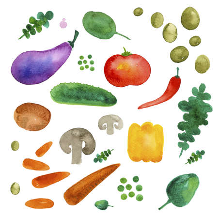 Vegetables watercolor set collection. Mushrooms, tomato, eggplant, arugula, spinach, peas, carrotの写真素材