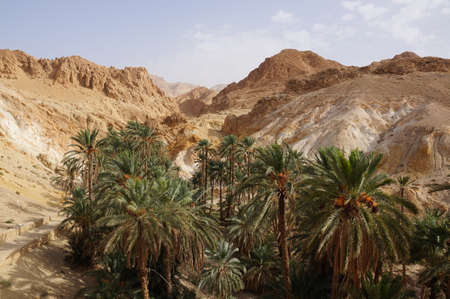 nature, animals and attractions of Tunisia