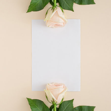Two pale pink roses on light background with greeting card space for textの写真素材