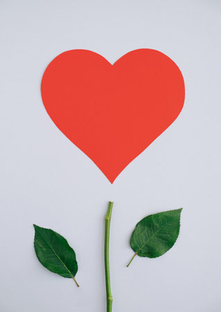 Red heart above rose flower stalk and leaves on muted blue color background with lots of copy spaceの写真素材