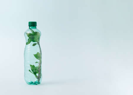 Green living plant stuck inside drinking bottle trash in artistic plastic waste concept.の写真素材