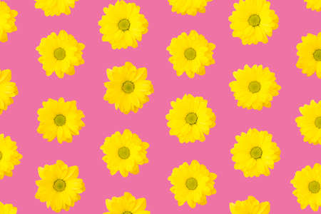 Modern floral pattern of yellow daisies on bright pinkの写真素材