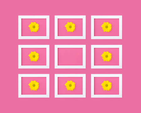 Grid pattern of white picture frames with flowers on pink, empty middleの写真素材