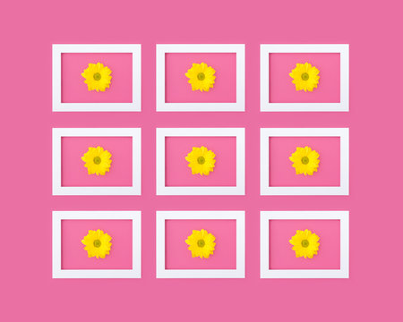 Grid pattern of white picture frames with flowers on pinkの写真素材