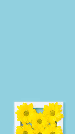 Yellow flowers in white frame on blue, tall banner designの写真素材