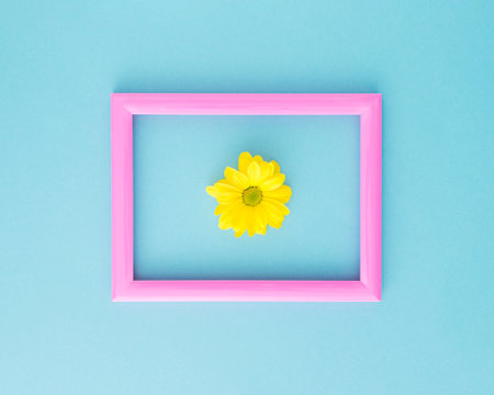 Yellow daisy in middle of pink picture frame on baby blue background composition