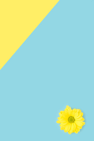 Horizontal or vertical yellow flower triangular card or banner design on blue
