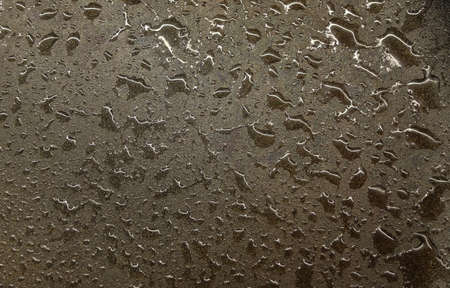 Wet water splotches on gray concrete stone floor. Abstract backdrop.の写真素材