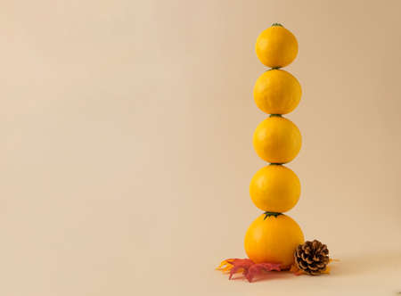 Modern autumn fall concept with yellow pumpkin squash balanced vertical. Room for text..の写真素材