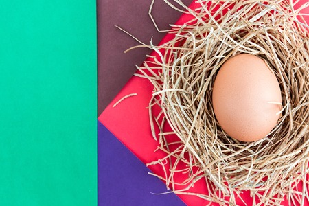 Easter eggs on colored background in a nest.の写真素材