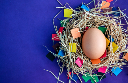 Easter eggs on colored background in a nest.の写真素材
