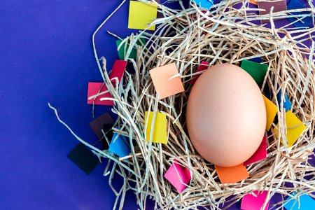 Easter eggs on colored background in a nest.の写真素材