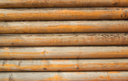 The texture of woodの写真素材