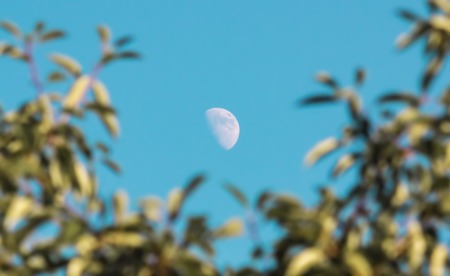 The moon in the blue sky.Mysterious month.の写真素材