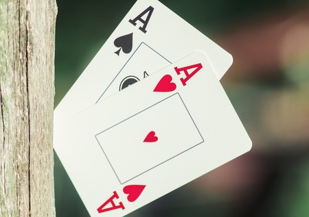 Playing cards in tree. Two aces in the trunk of a tree with a green background behind. Red and black ace.の写真素材