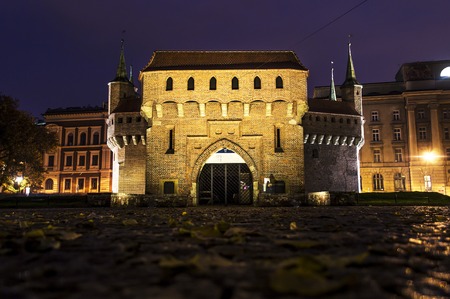 wawel krakow in the night. Poland in the autumn.の写真素材