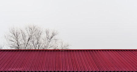 The roof tiles of winter. Tree with snow.の写真素材