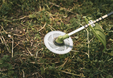 Gasoline trimmer head on green grass. Round trimmer blade.の写真素材
