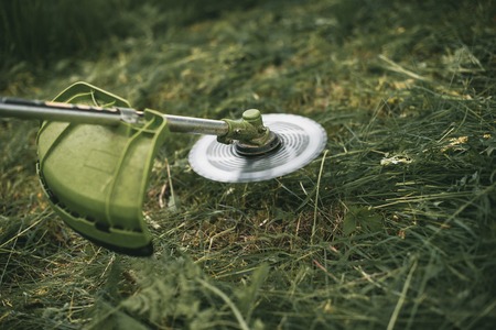 Gasoline trimmer head on green grass. Round trimmer blade.の写真素材