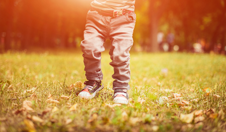 A little boy walks in the park in the summer.の写真素材