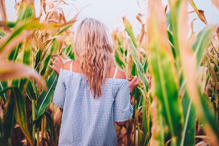 The girl goes in corn. Soft focus. Retro effect.の写真素材