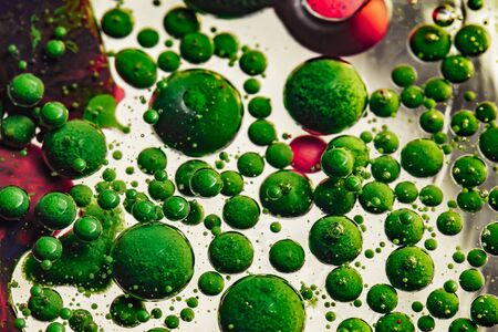 Abstract photo of green bubbles. Creative art photography.の写真素材