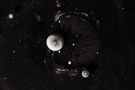 Contrast macro abstraction of bubbles in water. Space macro photo. Amazing creative photo.