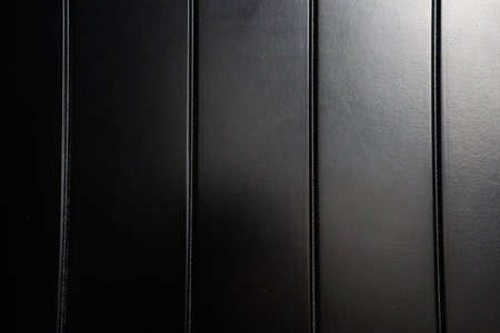 Close-up of smooth black wooden panels arranged in parallel lines under soft light creating an elegant interior ambianceの写真素材