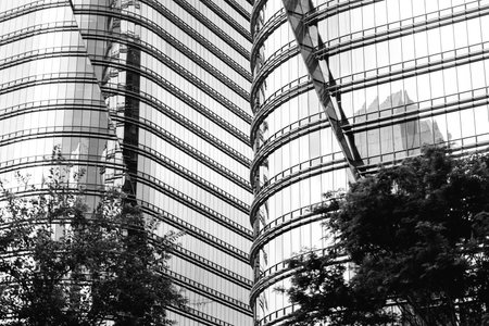 Modern glass buildings reflecting a city skyline under sunny weatherの写真素材