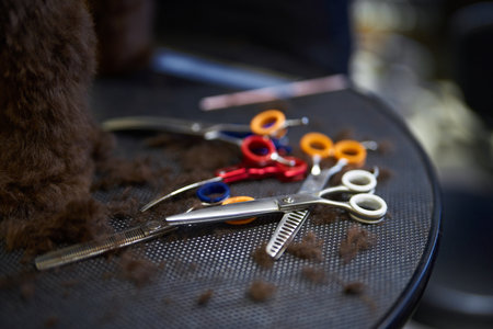 Grooming tools and pet fur sprawled on a table during a grooming sessionの写真素材
