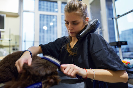 Grooming a brown dog in a modern pet salon during daylight hours