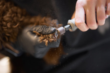 Grooming process for a dogâs paw with nail trimming tool in actionの写真素材