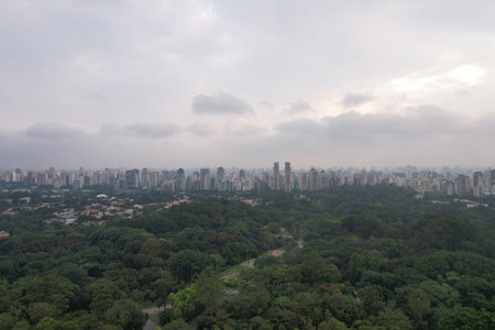 Skyline view of Sao Paulo with lush green areas and urban landscapeの写真素材
