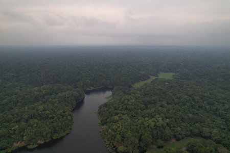 Lush green rainforest landscape beside a winding river during cloudy dayの写真素材