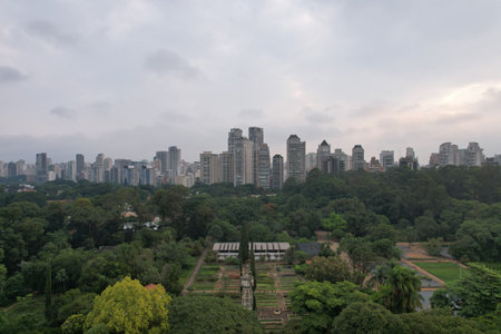 Skyscrapers of Sao Paulo rising above lush greenery in Brazilの写真素材