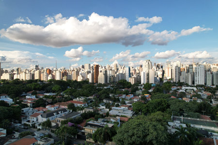 City skyline of Sao Paulo showcasing urban life and nature interactionの写真素材